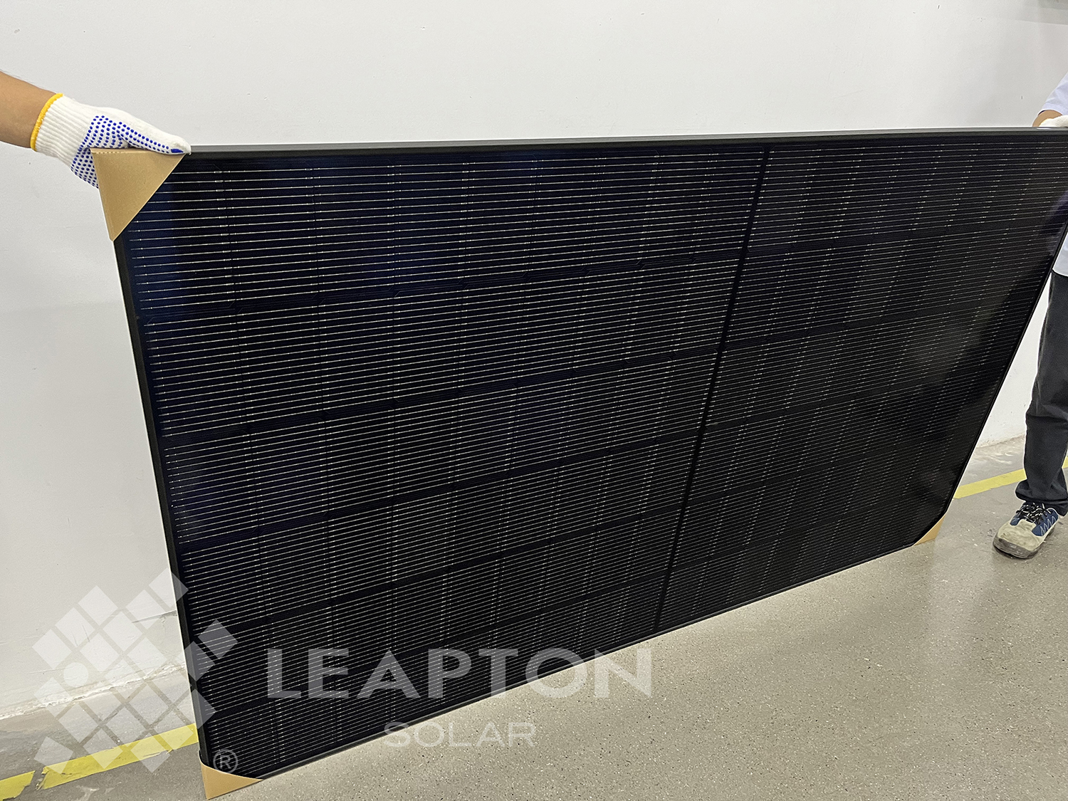 Leapton Energy Unveils High-Efficiency 182*210mm (210R) Solar Modules